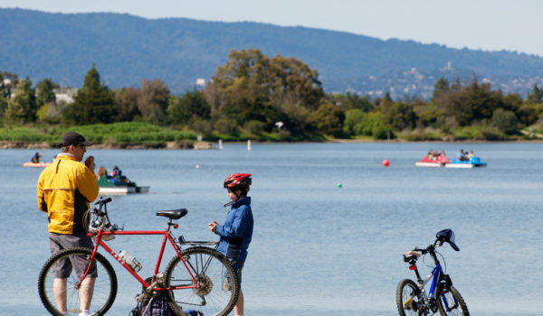 Scene from Shoreline Park