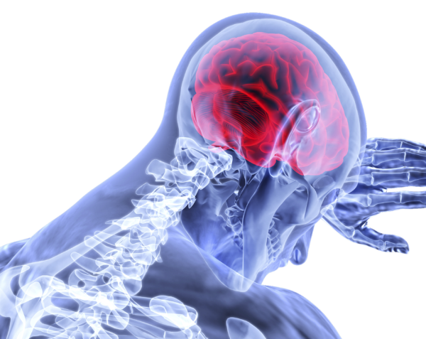 brain-3168269_1920